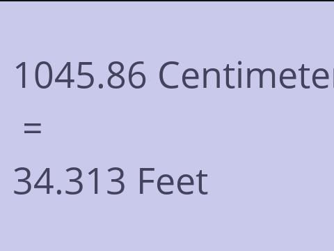 1045.86 CM TO FEET