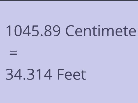 1045.89 CM TO FEET