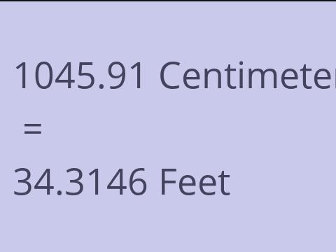 1045.91 CM TO FEET