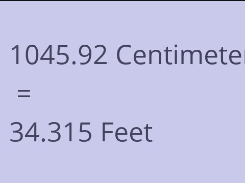 1045.92 CM TO FEET