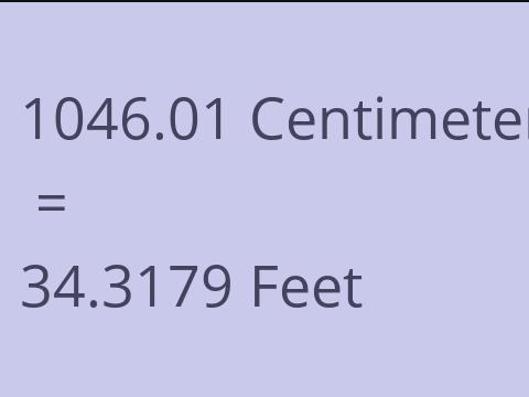 1046.01 CM TO FEET