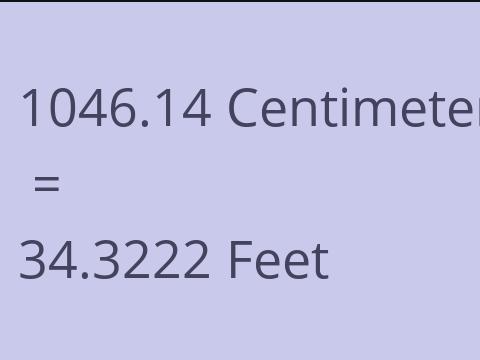 1046.14 CM TO FEET