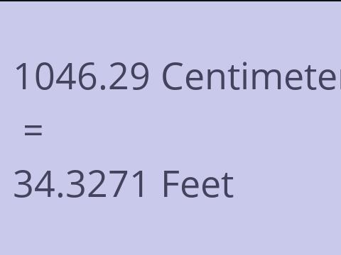 1046.29 CM TO FEET