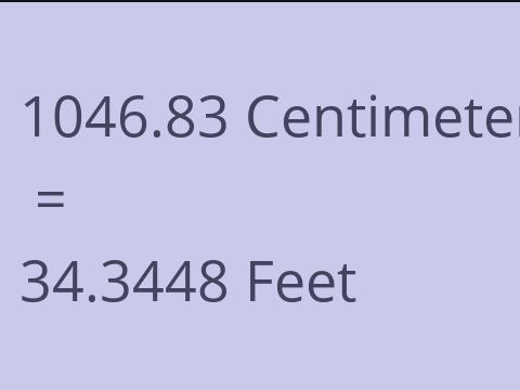 1046.83 CM TO FEET