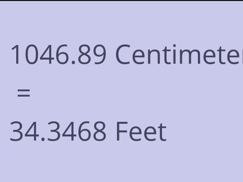 1046.89 CM TO FEET