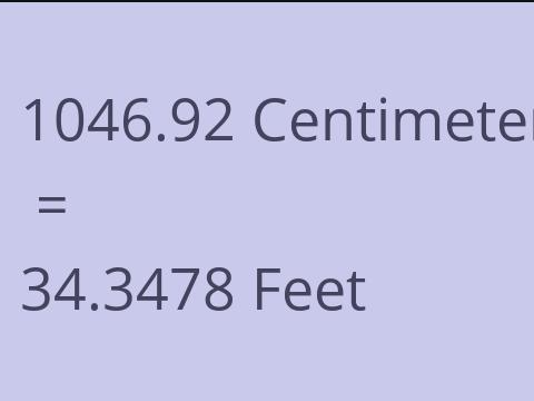 1046.92 CM TO FEET