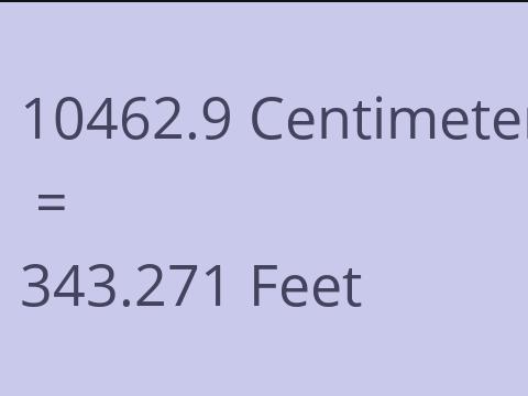 10462.9 CM TO FEET
