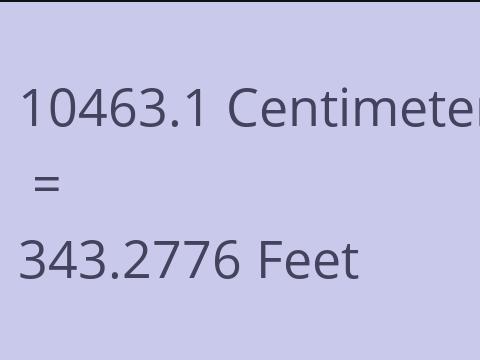 10463.1 CM TO FEET