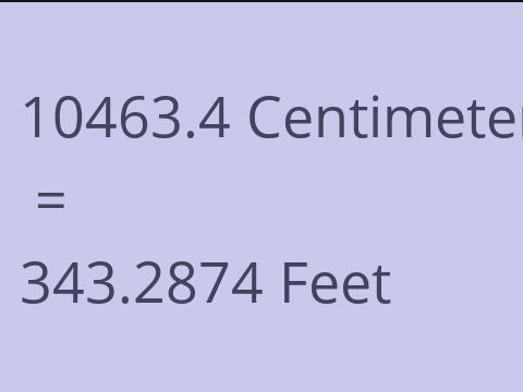 10463.4 CM TO FEET