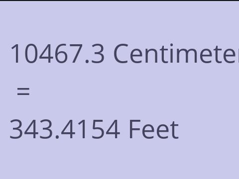 10467.3 CM TO FEET