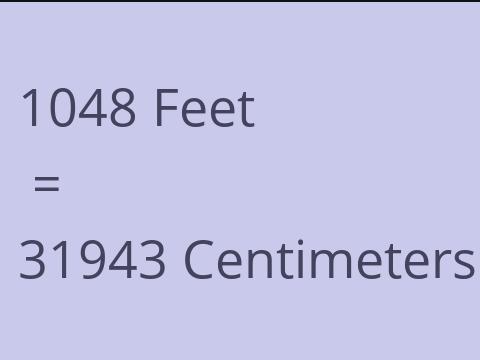 1048 FEET TO CM