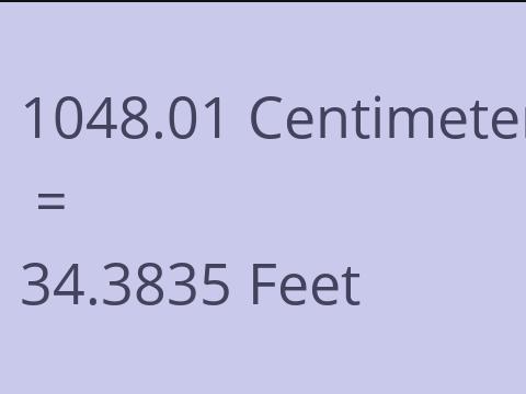 1048.01 CM TO FEET