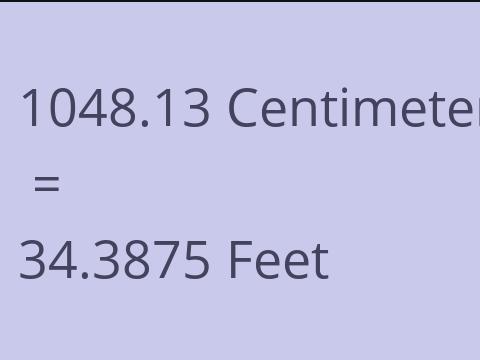 1048.13 CM TO FEET