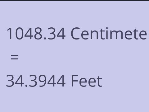 1048.34 CM TO FEET