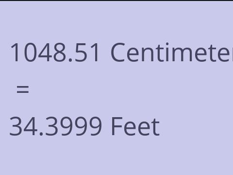 1048.51 CM TO FEET