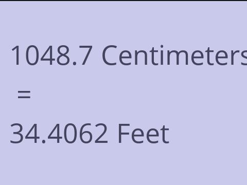 1048.7 CM TO FEET