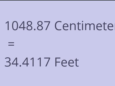 1048.87 CM TO FEET