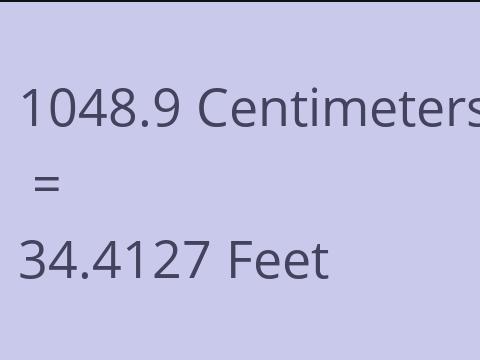 1048.9 CM TO FEET