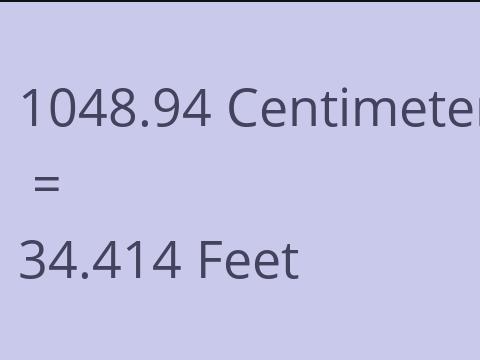 1048.94 CM TO FEET