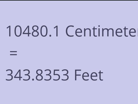 10480.1 CM TO FEET