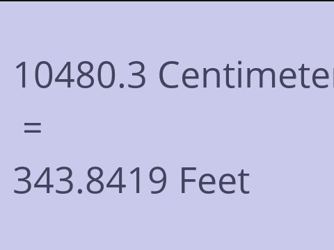 10480.3 CM TO FEET