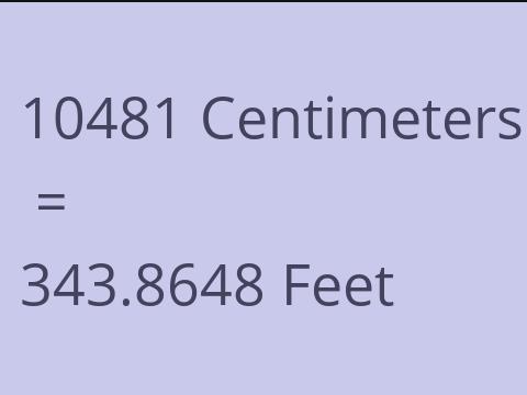 10481 CM TO FEET