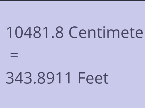 10481.8 CM TO FEET
