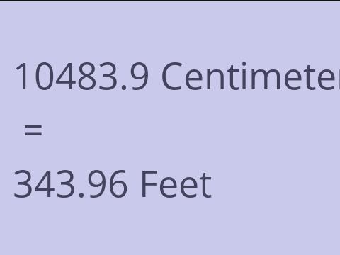 10483.9 CM TO FEET