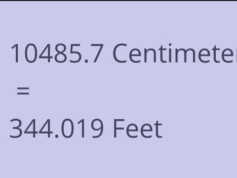 10485.7 CM TO FEET