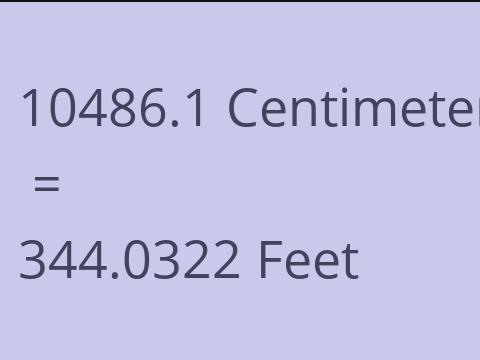 10486.1 CM TO FEET
