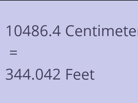 10486.4 CM TO FEET