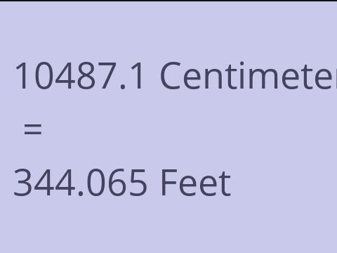 10487.1 CM TO FEET