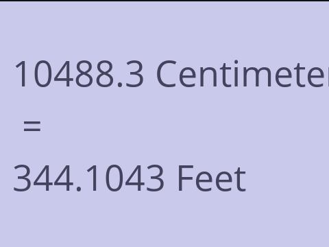 10488.3 CM TO FEET