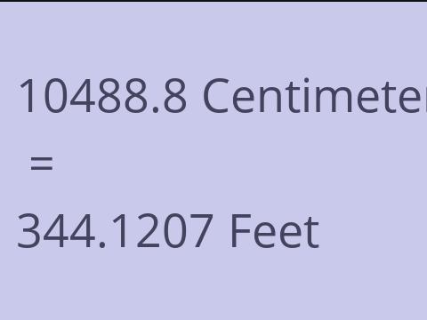 10488.8 CM TO FEET