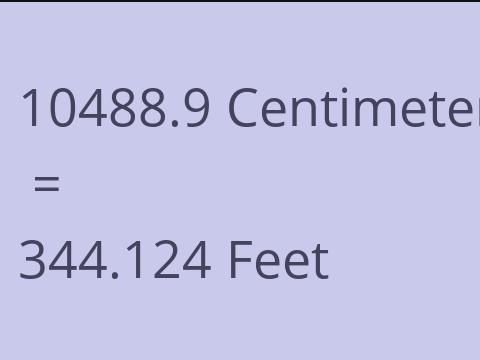 10488.9 CM TO FEET