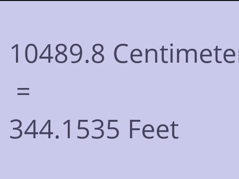 10489.8 CM TO FEET