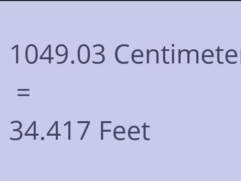 1049.03 CM TO FEET