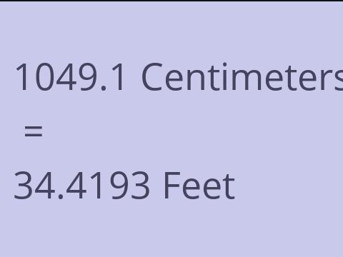 1049.1 CM TO FEET