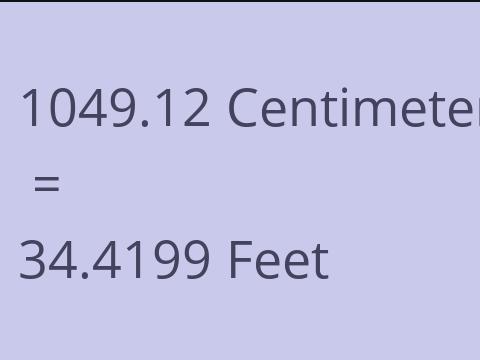 1049.12 CM TO FEET