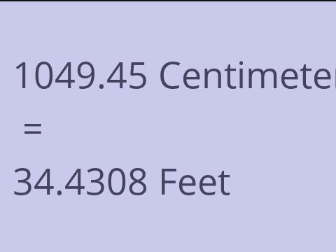 1049.45 CM TO FEET