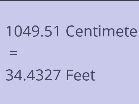 1049.51 CM TO FEET