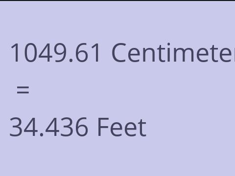 1049.61 CM TO FEET