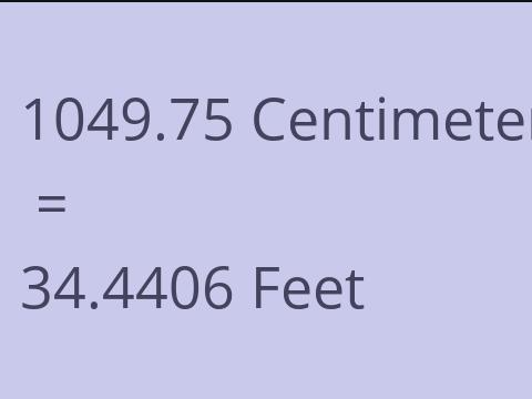 1049.75 CM TO FEET