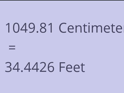 1049.81 CM TO FEET