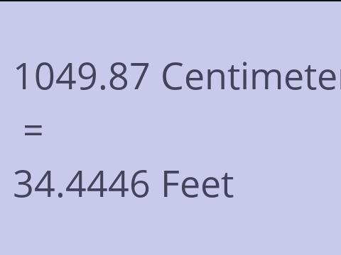 1049.87 CM TO FEET