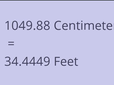 1049.88 CM TO FEET