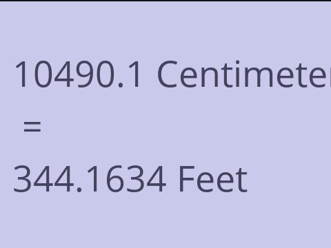 10490.1 CM TO FEET