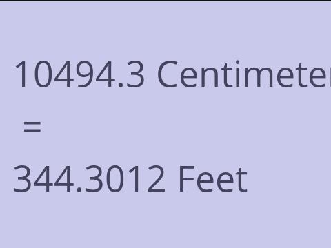 10494.3 CM TO FEET