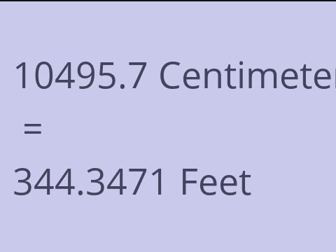 10495.7 CM TO FEET