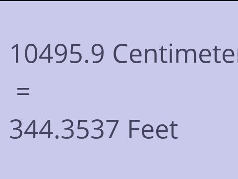 10495.9 CM TO FEET